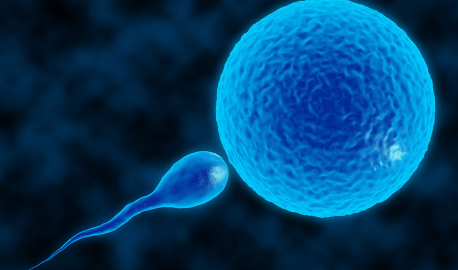 Andrology Services - Miracle IVF Hospital, Bangalore.