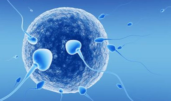 Miracle IVF Hospital: In Vitro Fertilization (IVF) Treatment in Bangalore at Miracle Ivf Hospital 