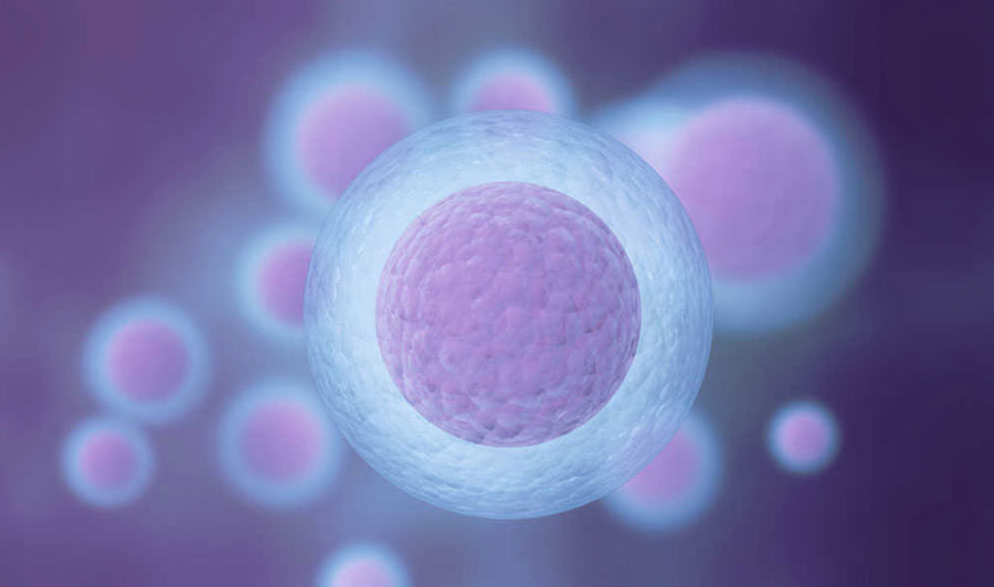 Ovarian Stimulation Treatment at Miracle IVF Hospital