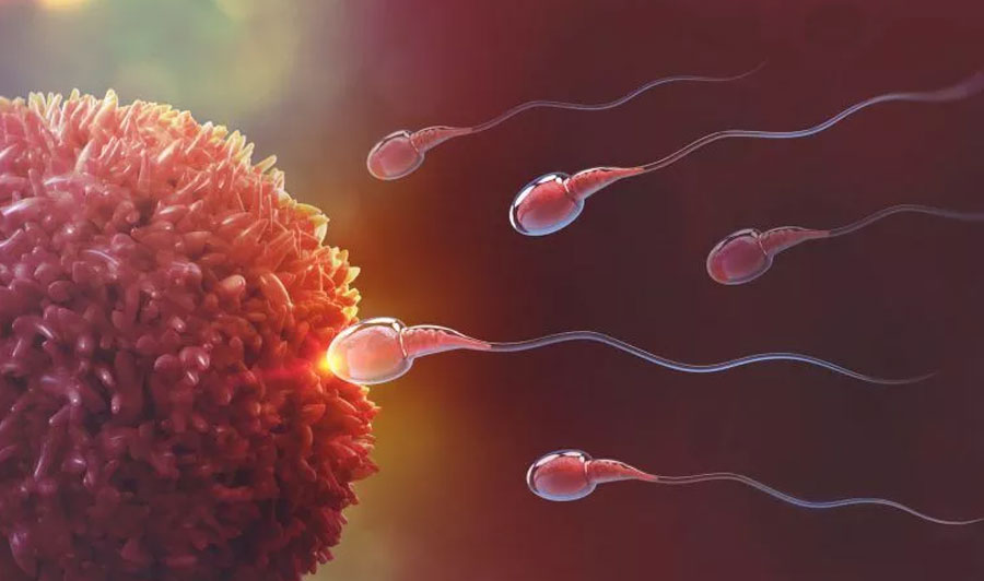 Reproductive Hormone Profile Test at Miracle IVF Hospital, Bangalore.